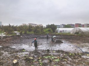 河曲河道鱼塘清淤